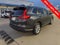 2023 Honda CR-V EX-L 2WD w/o BSI