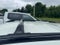2017 Nissan Rogue FWD SV