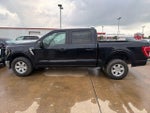 2023 Ford F-150 XLT 4WD SuperCrew 5.5' Box