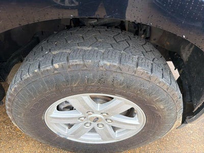 2023 Ford F-150 XLT 4WD SuperCrew 5.5' Box