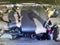 2023 Toyota Tacoma 4WD 4WD SR5 Double Cab 6' Bed V6 AT (Natl)