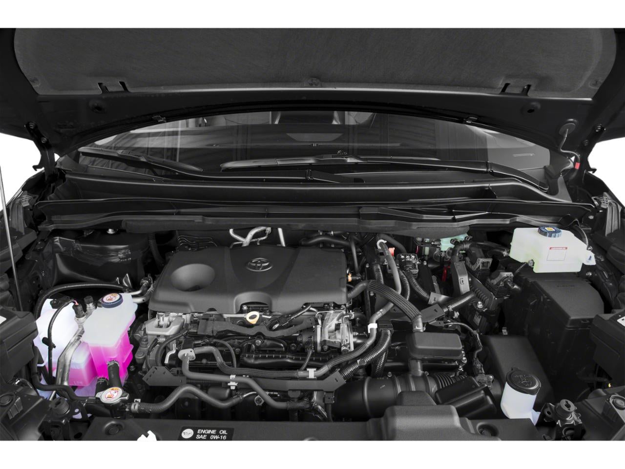 2023 Toyota Sienna LE FWD 8-Passenger (Natl)