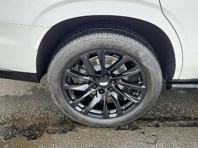 2023 Cadillac Escalade RWD Sport Platinum